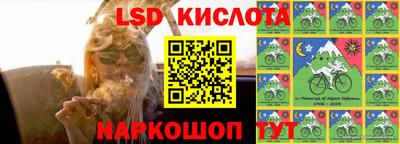 Альфа ПВП Гусев