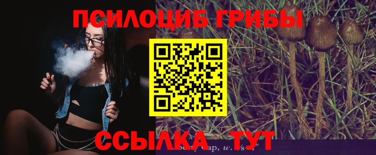 Галлюциногенные грибы ЛСД Можга